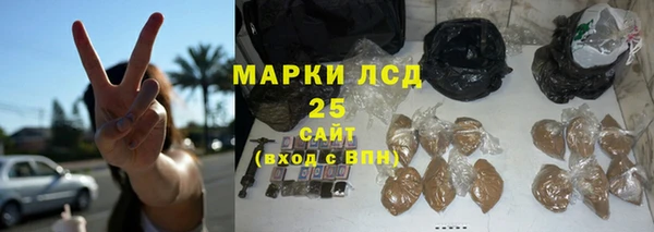 прущие грибы Навашино