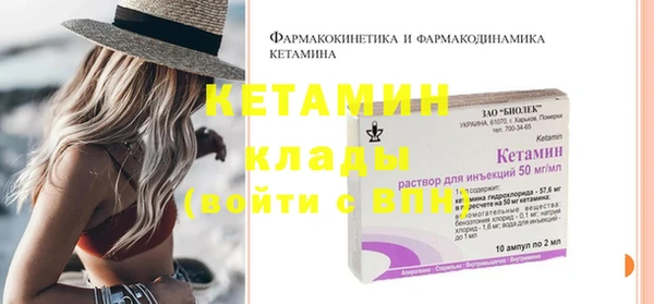 шишки Надым