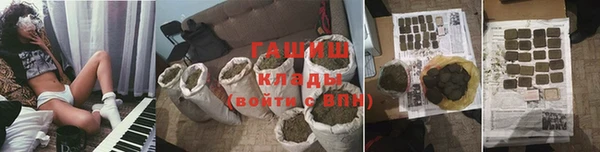 шишки Надым