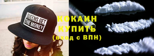шишки Михайловск