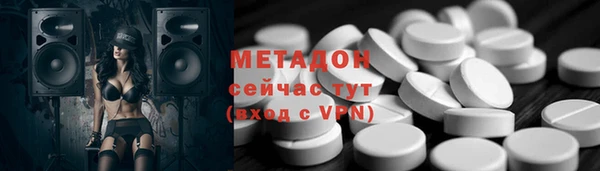 шишки Надым