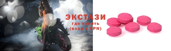шишки Надым