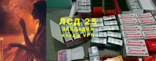 прущие грибы Навашино