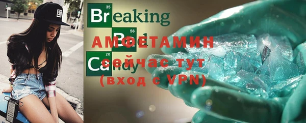 индика Апатиты