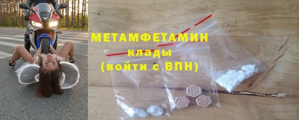 шишки Надым