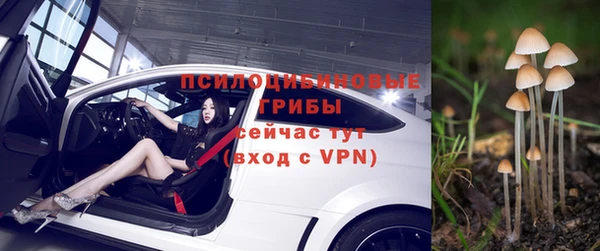 прущие грибы Навашино