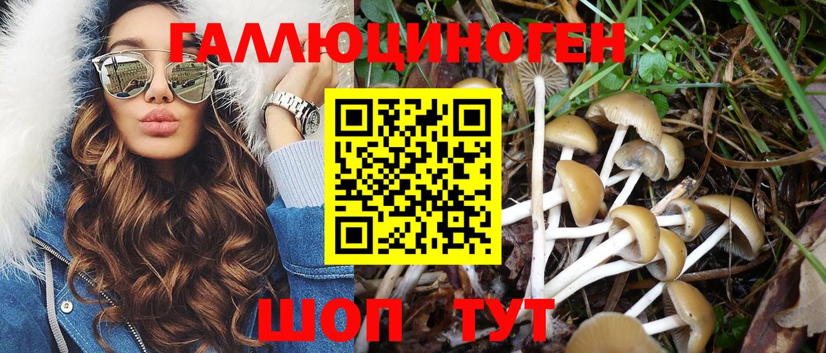 Псилоцибиновые грибы мухоморы Архангельск