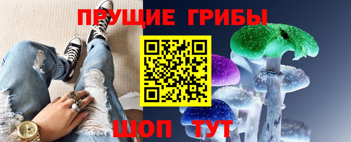 Галлюциногенные грибы Psilocybe  Архангельск 