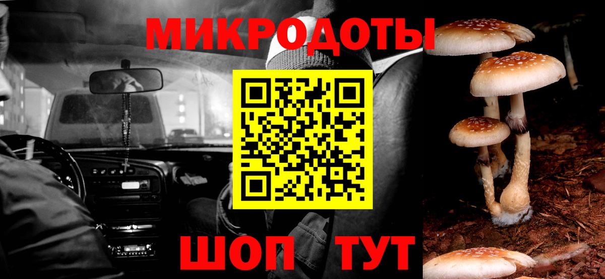 Галлюциногенные грибы мухоморы Архангельск