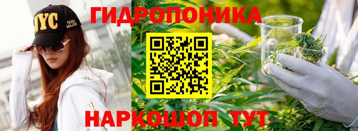 Шишки марихуана LSD WEED  Архангельск  Канабис конопля  Марихуана сатива  Канабис OG Kush 